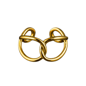 Twin-Mobiusg