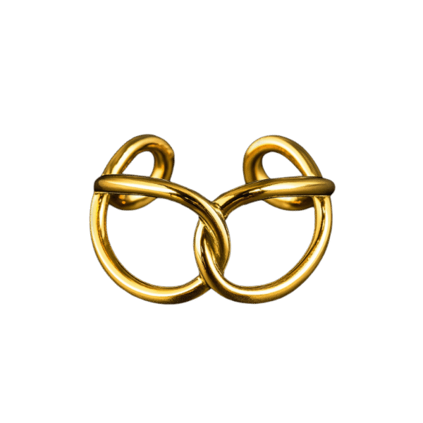 Twin-Mobiusg