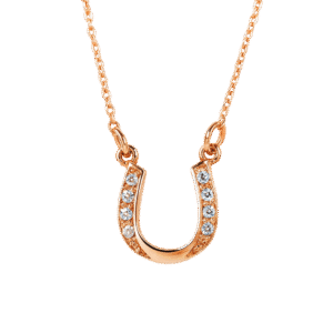 Horseshoe1
