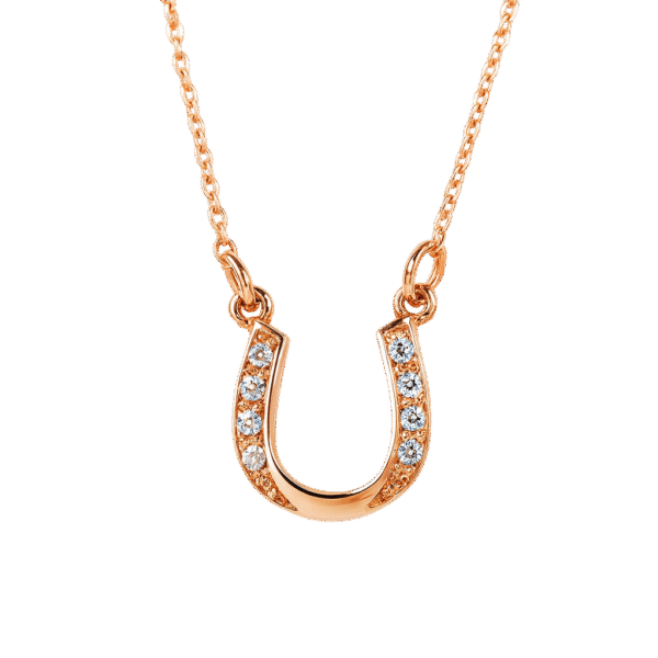 Horseshoe1